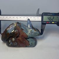 Ocean Jasper Lizard